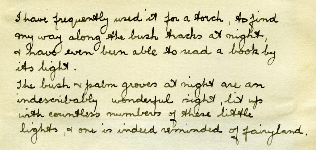 Ida McComish's notes about using glowing mushrooms to find her way at night on Lord Howe Island.