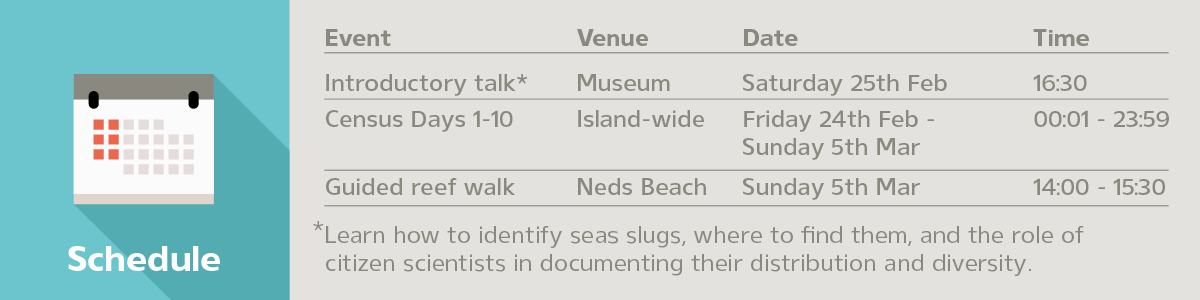 Sea Slug Census Schedule 2023