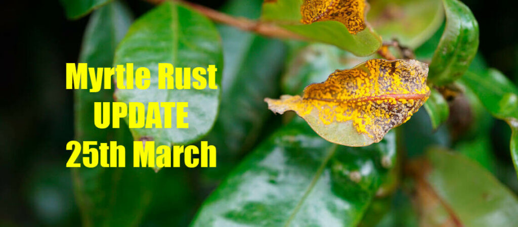 Myrtle Rust update 25th March