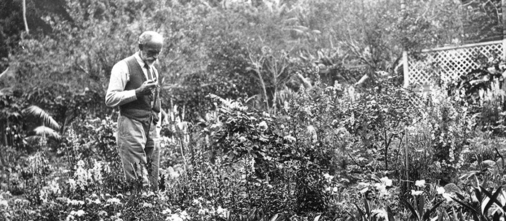 Phil Payten in his garden at Valdon
