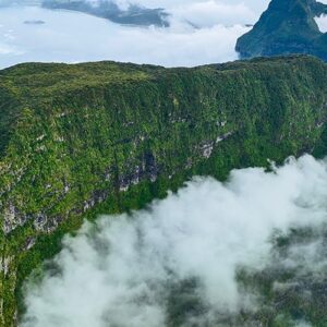 An aerial view of the forest-covered summit of Mt Gower, surrounded by clouds
