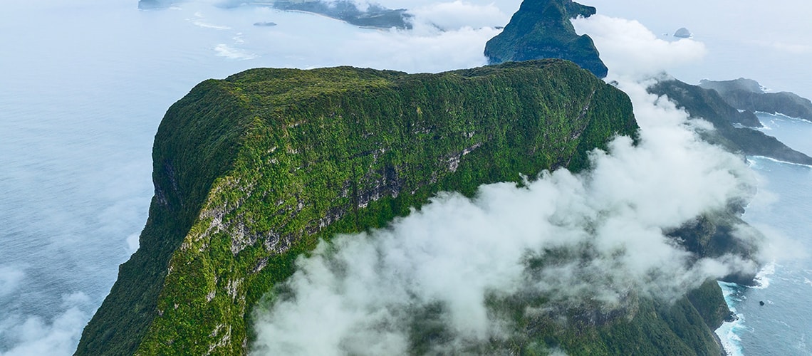 An aerial view of the forest-covered summit of Mt Gower, surrounded by clouds